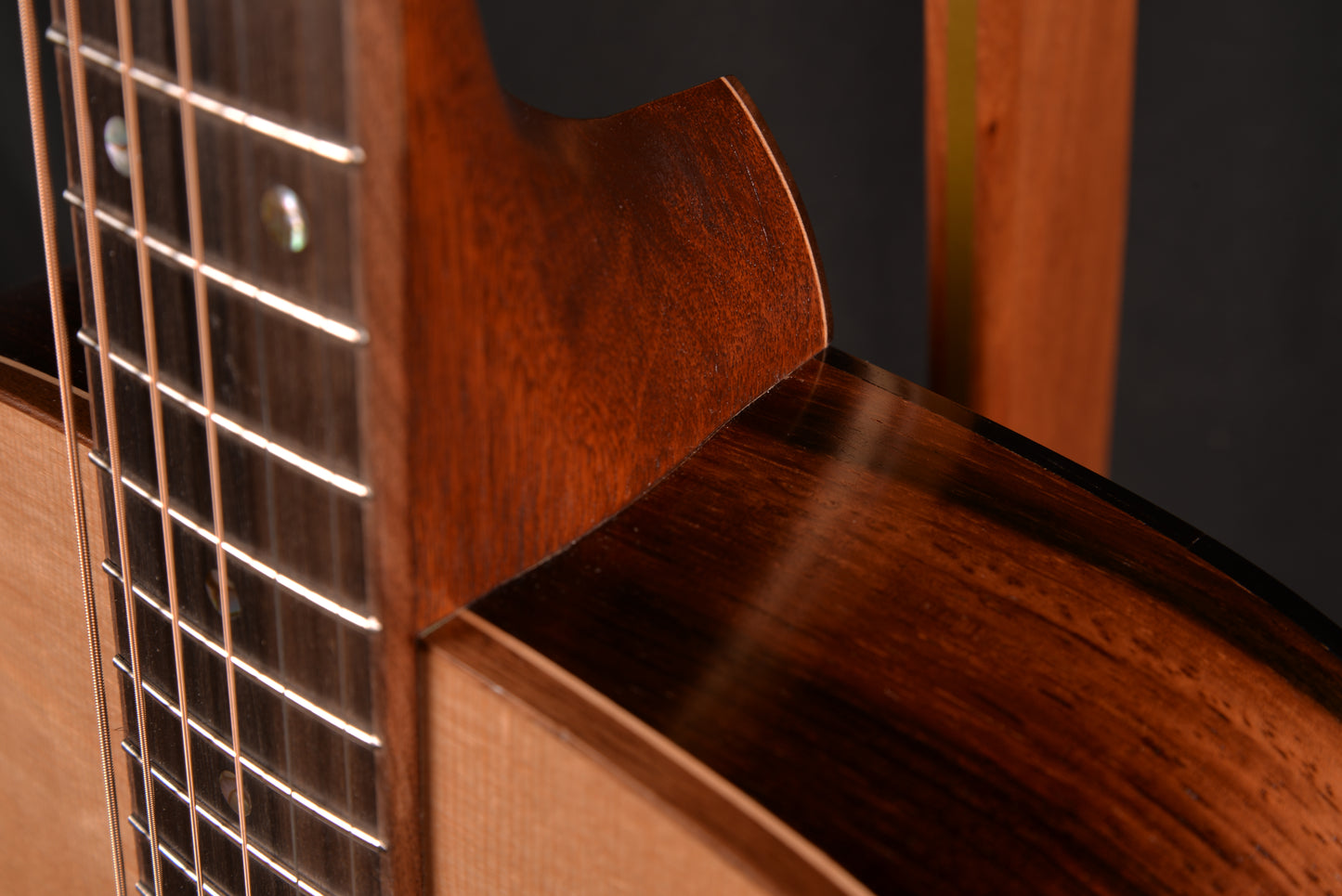 014 Brazilian Rosewood Dreadnought with Bear Claw Sitka Spruce Top