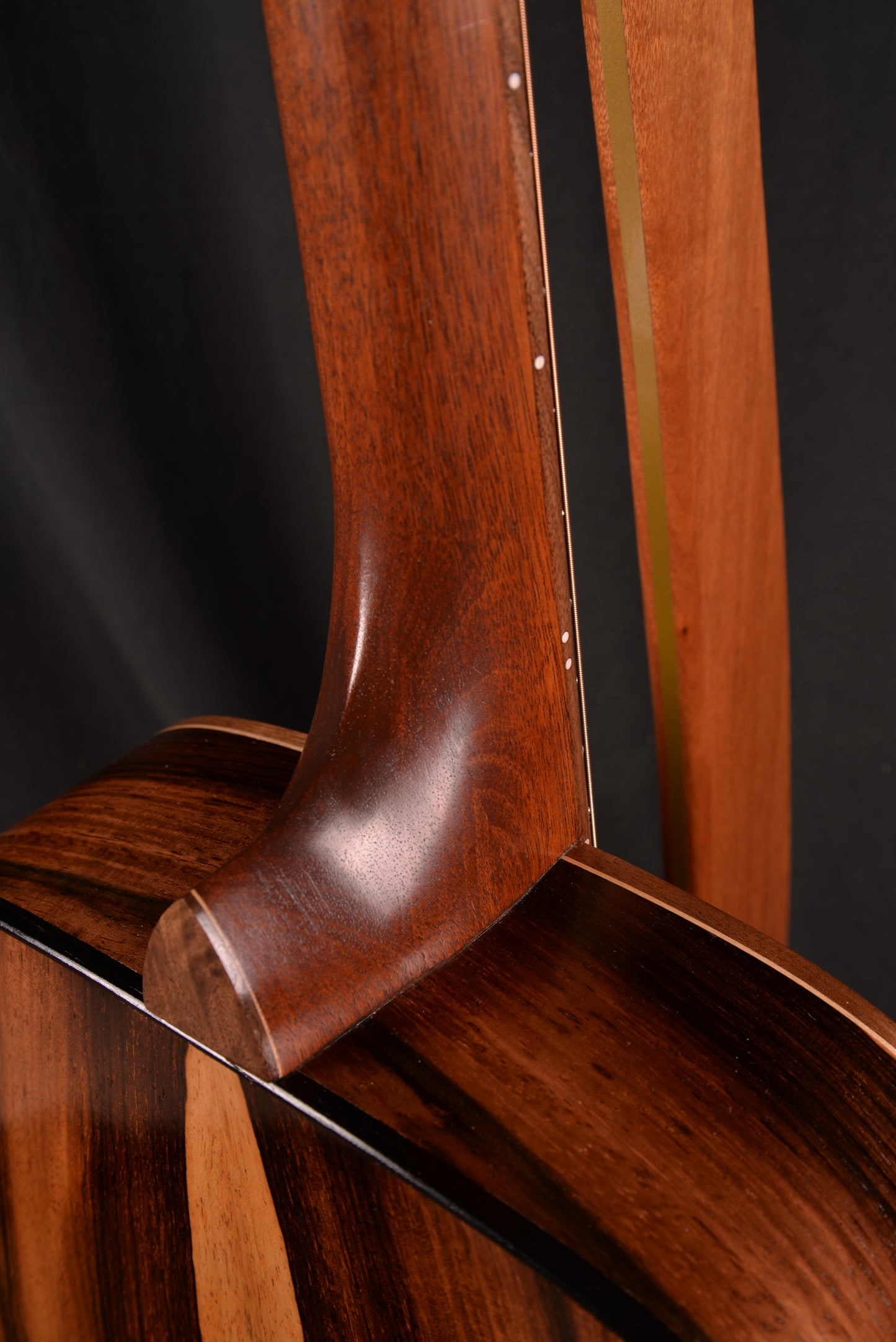 014 Brazilian Rosewood Dreadnought with Bear Claw Sitka Spruce Top