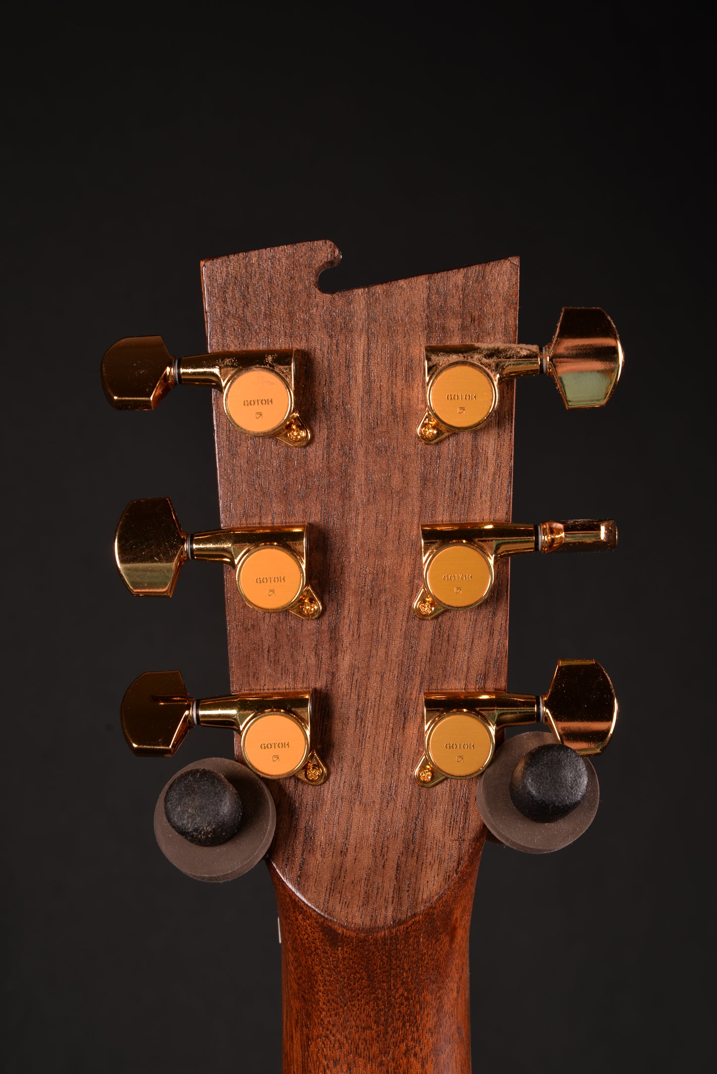 014 Brazilian Rosewood Dreadnought with Bear Claw Sitka Spruce Top